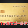 喪明け1ヶ月でゴールドカード取得！？セゾンゴールド・アメリカン・エキスプレス・カードの可能性